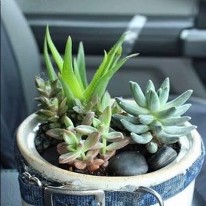 Meet your Posher, Bridget